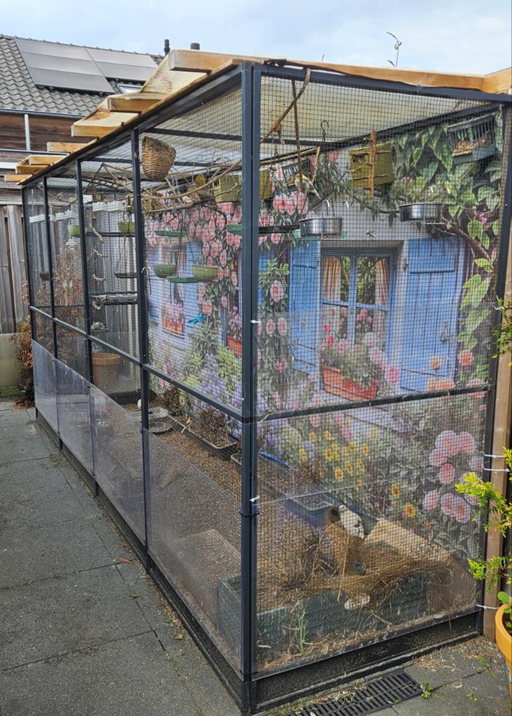 Volière met ongeveer 22 vogels en 3 kwartels, Dieren en Toebehoren, Ophalen, Zo goed als nieuw, Aluminium, Volière