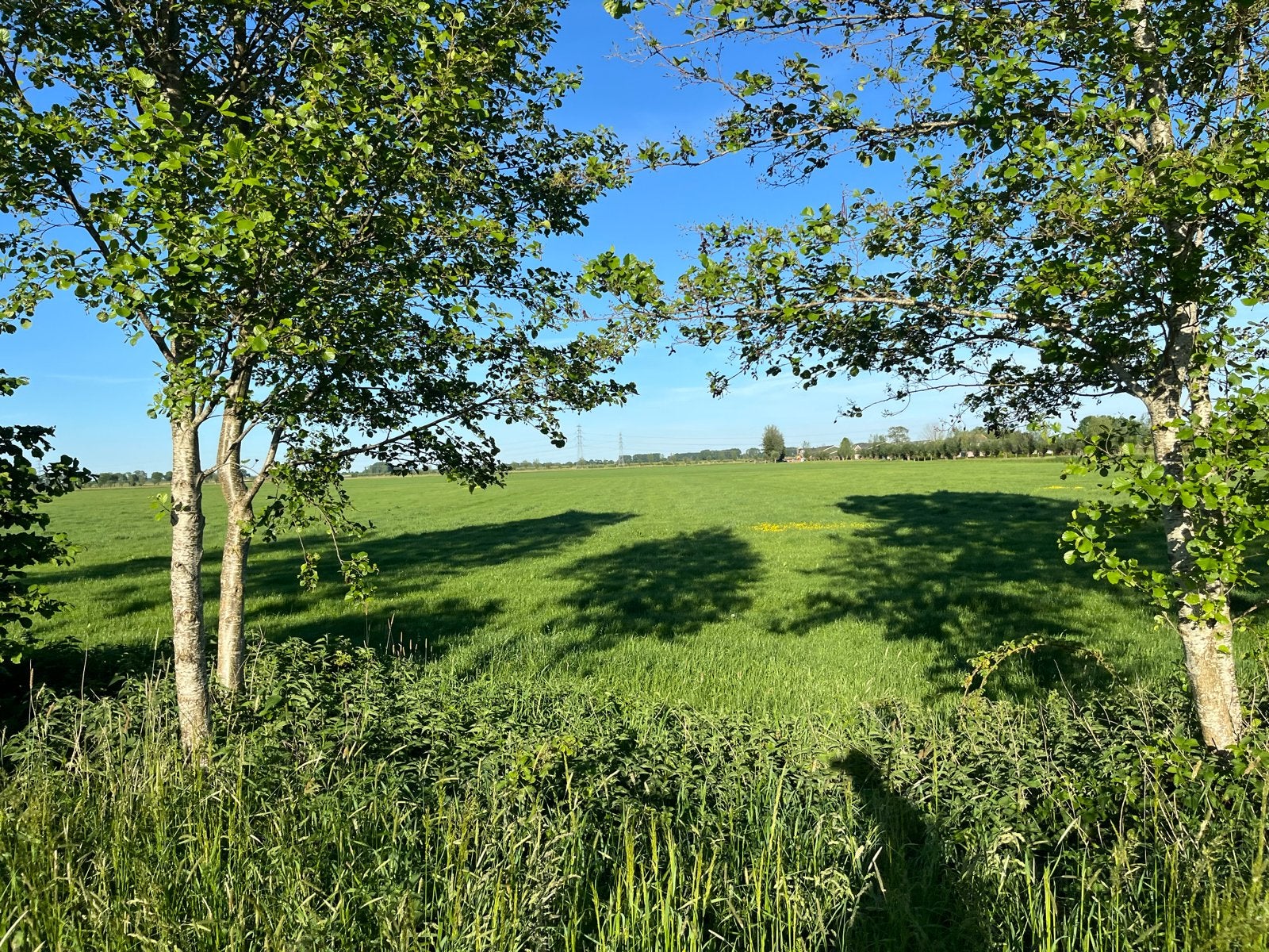 Weiland gezocht, Dieren en Toebehoren, Stalling en Weidegang, Weidegang