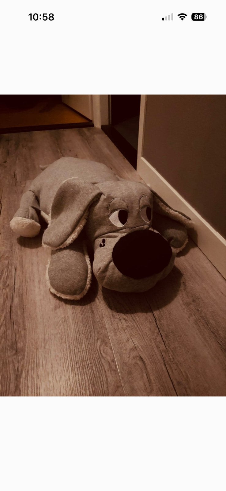 Pluche hond, Ophalen of Verzenden, Zo goed als nieuw, Hond