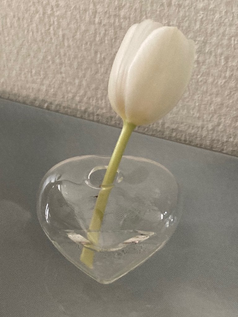 vaas vazen Serax van glas aantal 88 stuks samen, Ophalen of Verzenden, Nieuw, Glas