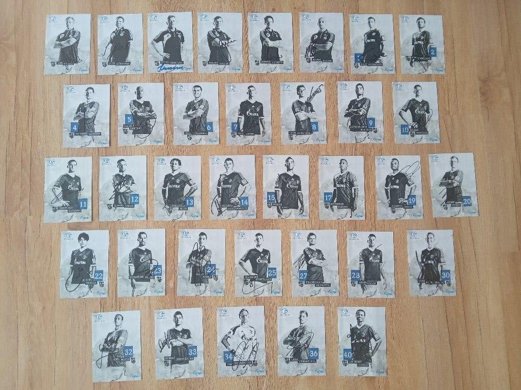 Gesigneerde 2013-2014 spelerskaarten van Schalke 04, Ophalen of Verzenden, Nieuw, Buitenlandse clubs, Spelerskaart