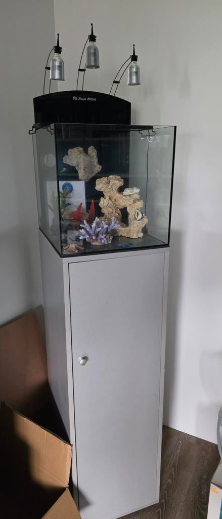 Net aquarium op zuil, Dieren en Toebehoren, Ophalen, Zo goed als nieuw, Leeg aquarium