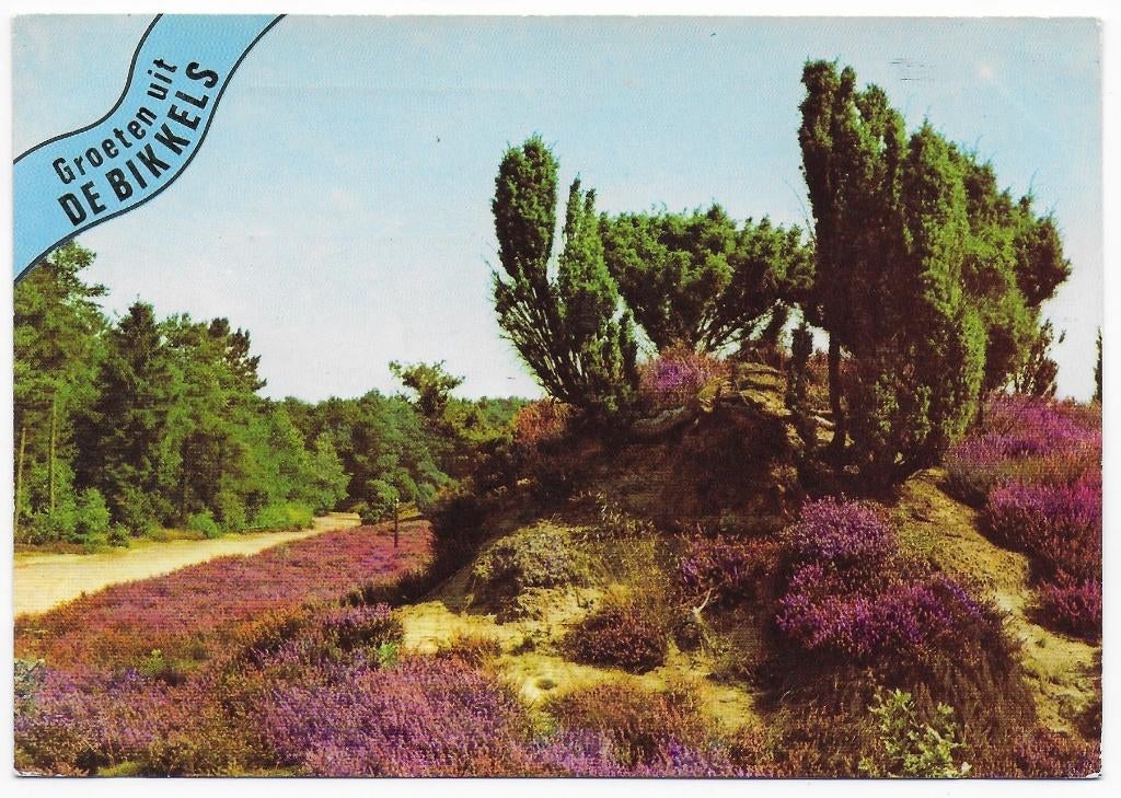 Bikkels gelopen Ansichtkaart (B2428 ), Ophalen of Verzenden, 1980 tot heden, Gelopen