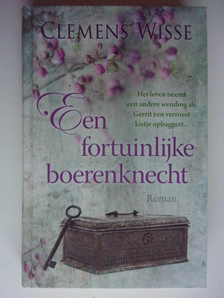 DOOS STREEKROMANS, Boeken, Streekboeken en Streekromans, Ophalen of Verzenden, Zo goed als nieuw