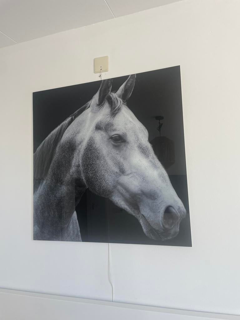 Plexiglas schilderij paard, Ophalen, Zo goed als nieuw, Schilderij, Minder dan 50 cm