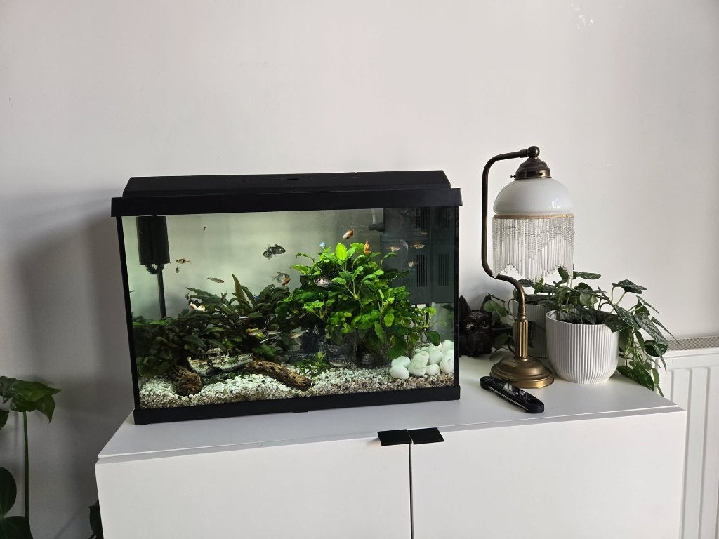 Juwel PrimoLux 60 aquarium 60L (60b x30d x40h), Ophalen, Verwarming, Zo goed als nieuw, Leeg aquarium
