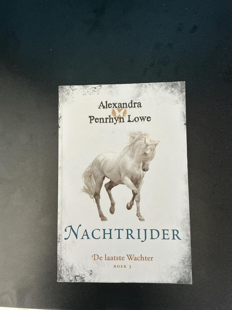 Nachtrijder - De laatste Wachter Boek 3, Boeken, Ophalen of Verzenden, Zo goed als nieuw, Nederland