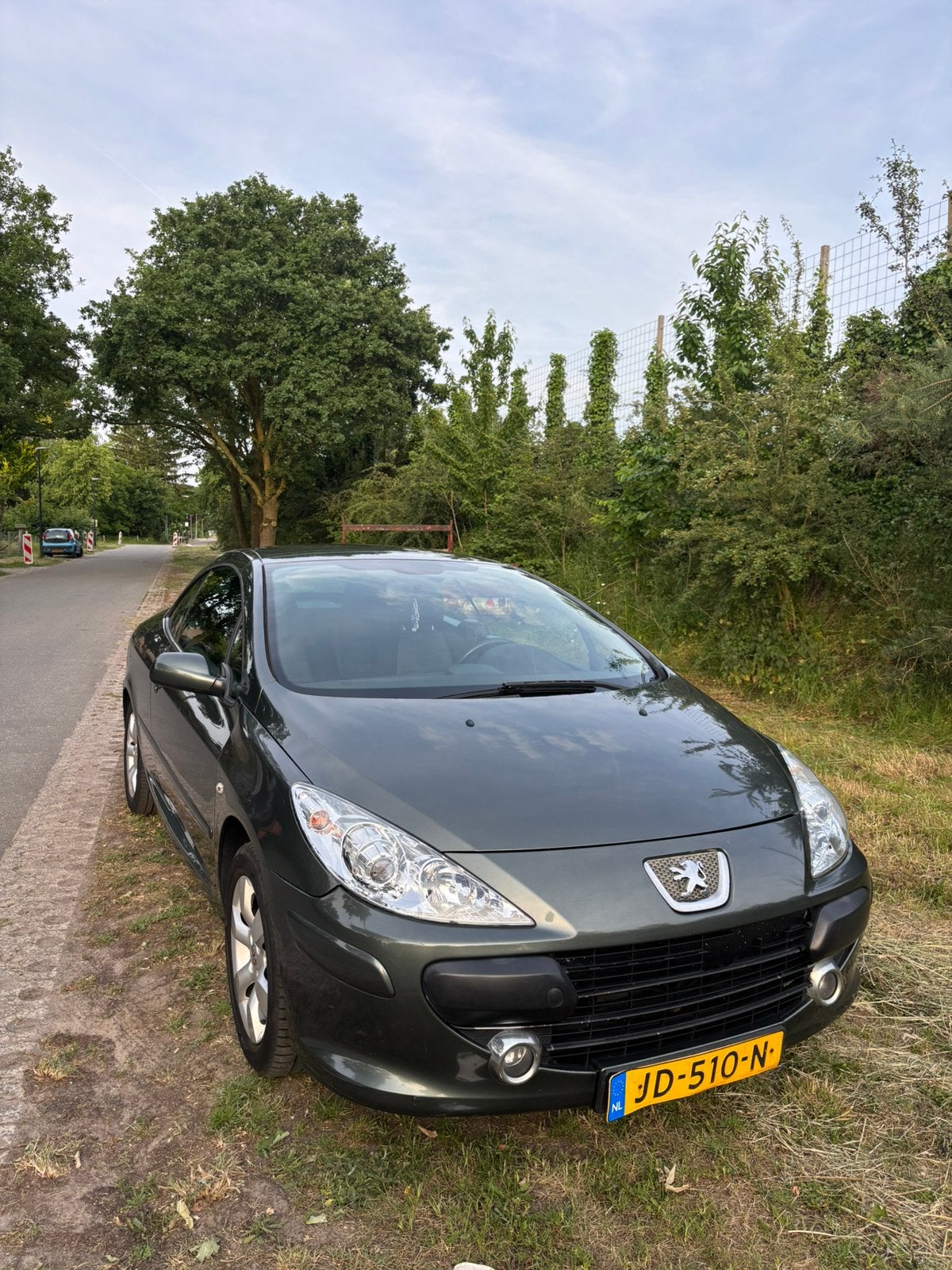 Peugeot 2007 Grijs, Voorwielaandrijving, Stof, 4 cilinders, 4 stoelen