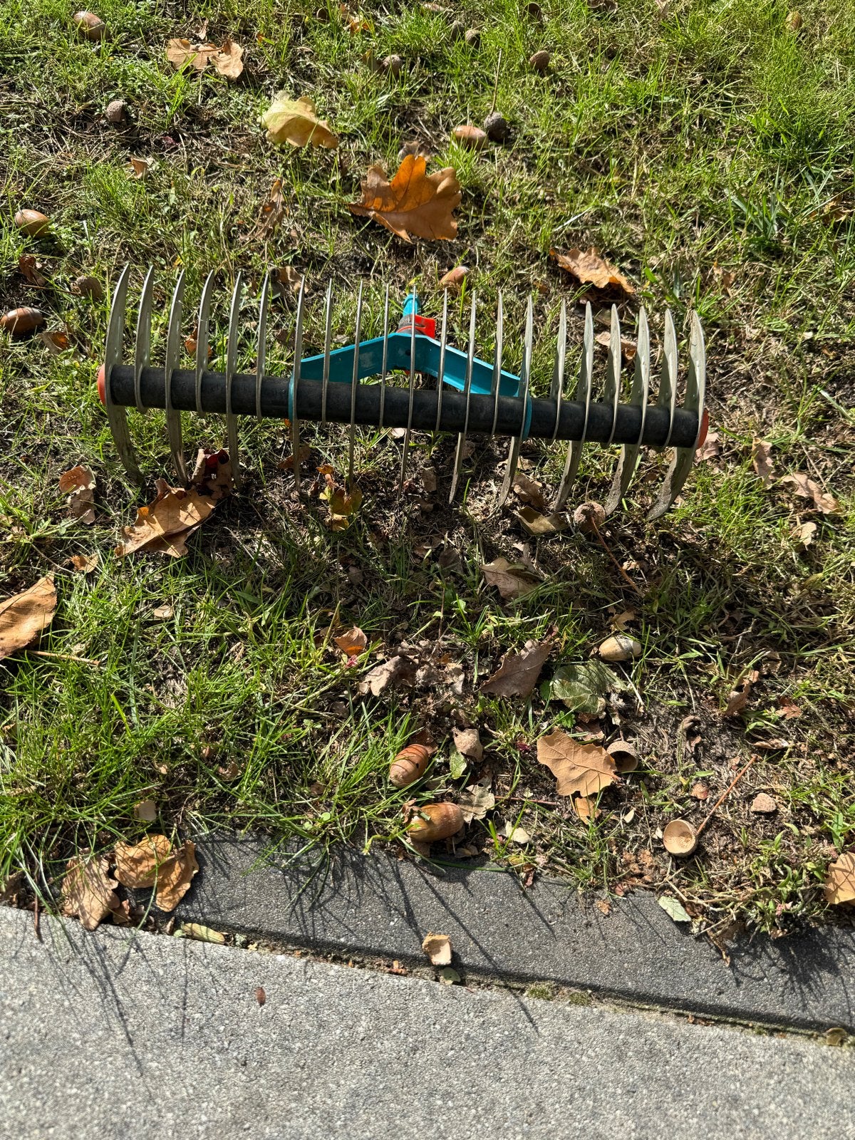Gardena Hark - Bladhark voor tuinonderhoud, Ophalen, Gebruikt, Hark