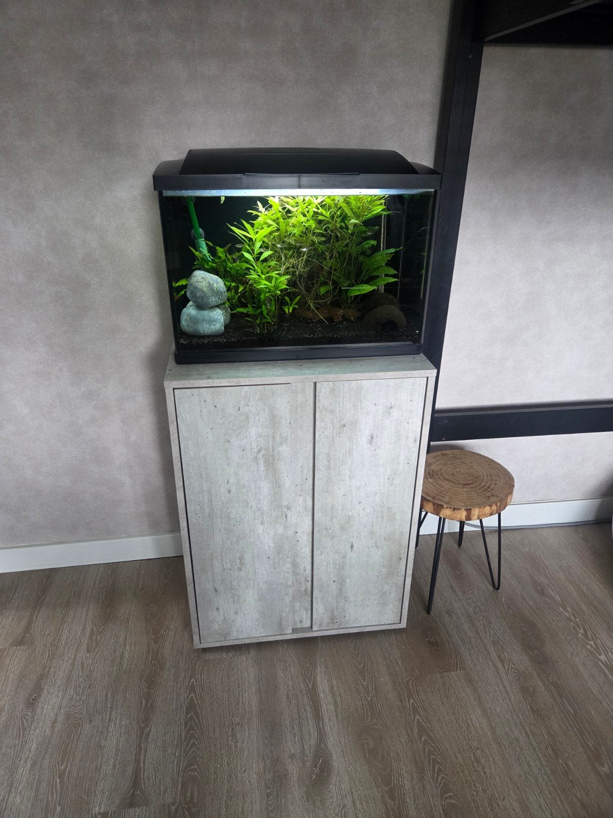 aquarium, Ophalen, Gebruikt, Gevuld zoetwateraquarium