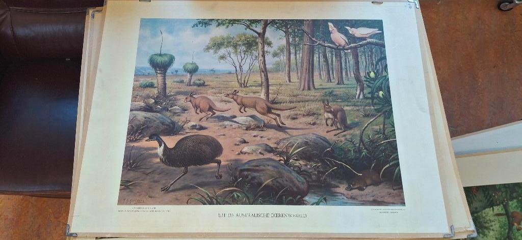 Schoolplaat, Ophalen, Natuur en Biologie