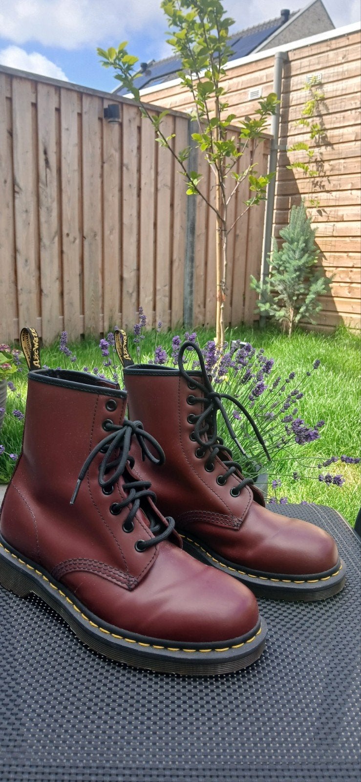 Nieuwe Dr. Martens, maat 38, bordeauxrood., Lage of Enkellaarzen, Nieuw, Ophalen of Verzenden, Dr. Martens