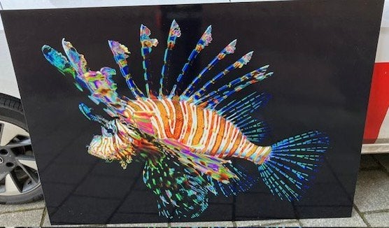 Koraalduivel op aluminium, Ophalen, Zo goed als nieuw, Schilderij