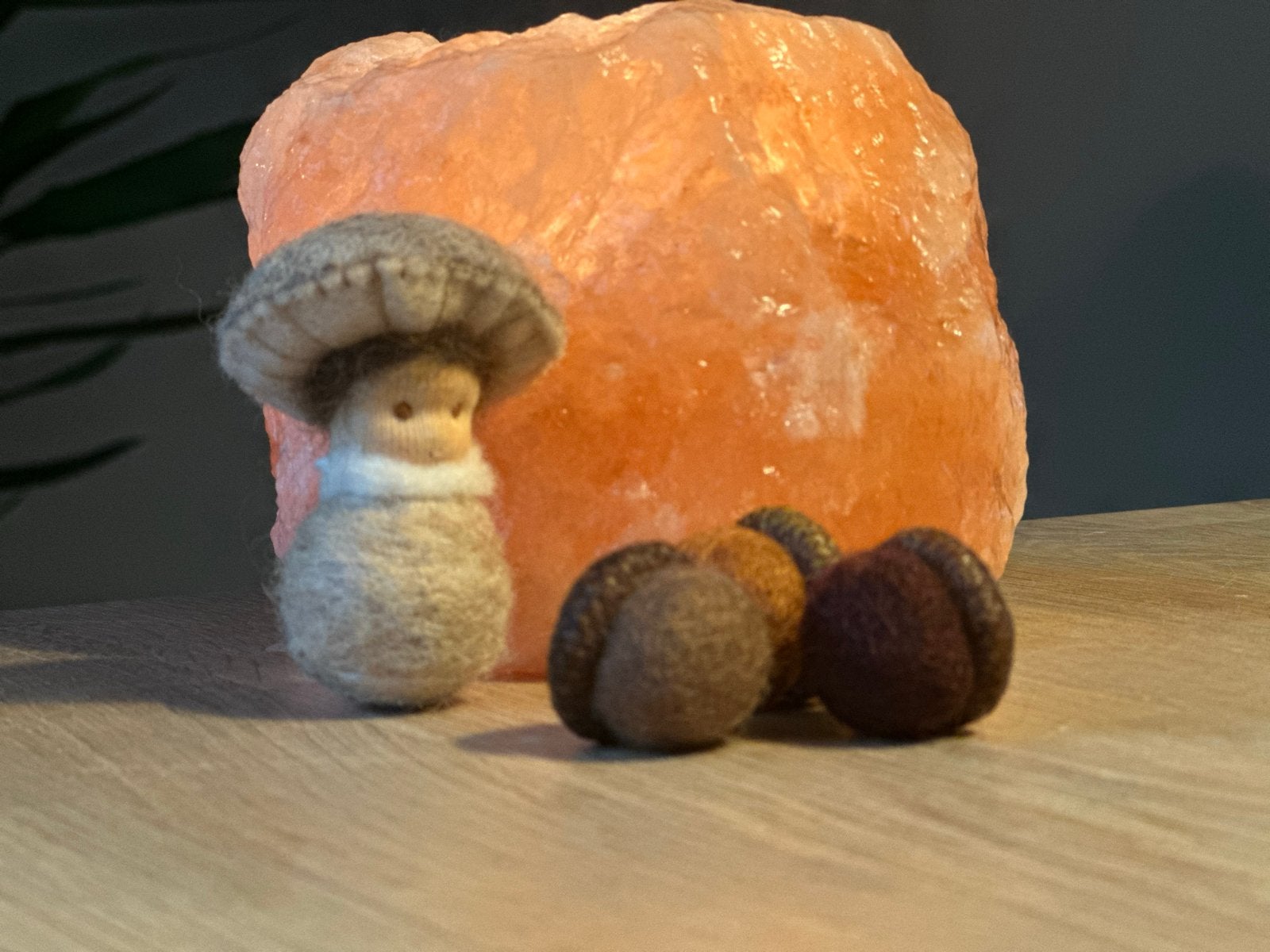 Paddenstoel & eikels van wol antroposofische herfsttafel wol, Hobby en Vrije tijd, Ophalen of Verzenden, Nieuw, Figuurtje(s), Wolvilt