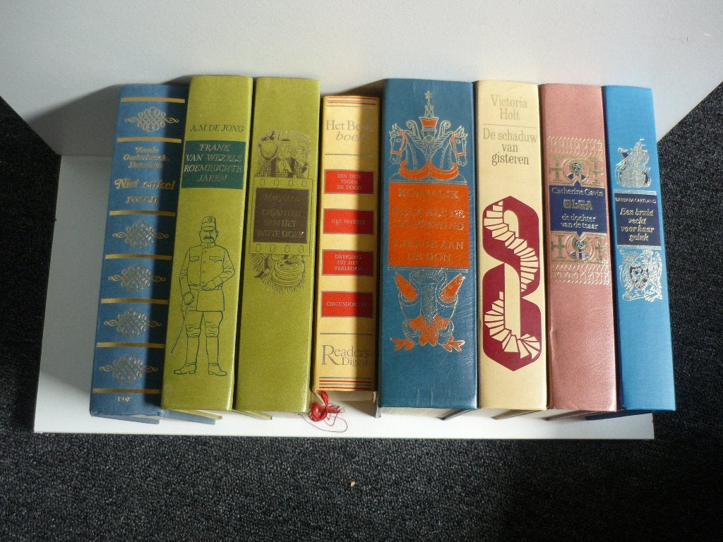 veel verschillende romans, Ophalen of Verzenden, Zo goed als nieuw