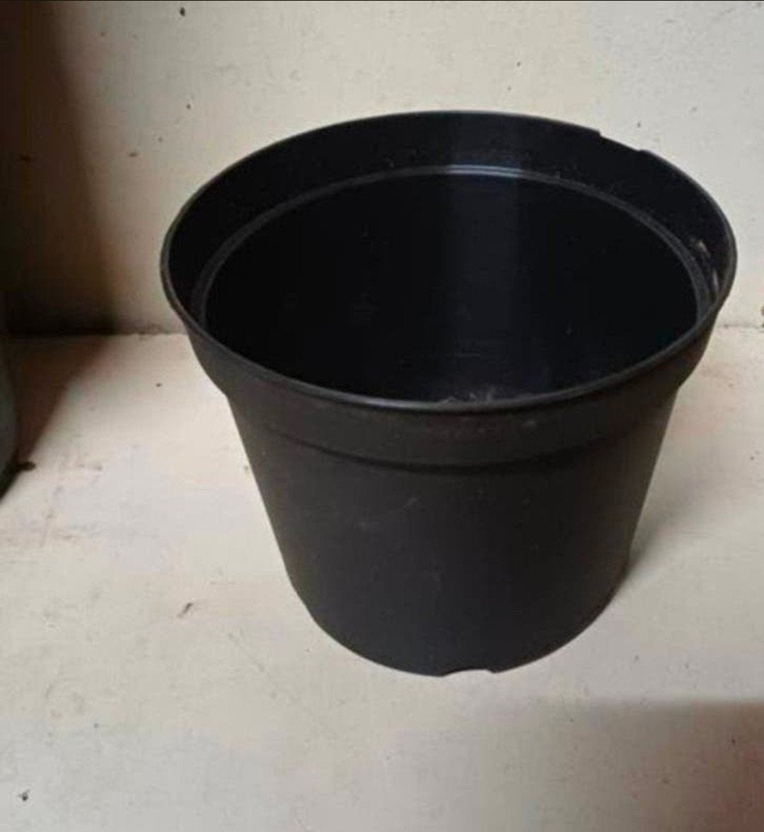 Kweekpotten plantenpotten bloempotten 2 liter, Kunststof, Gebruikt, Rond, Ophalen of Verzenden