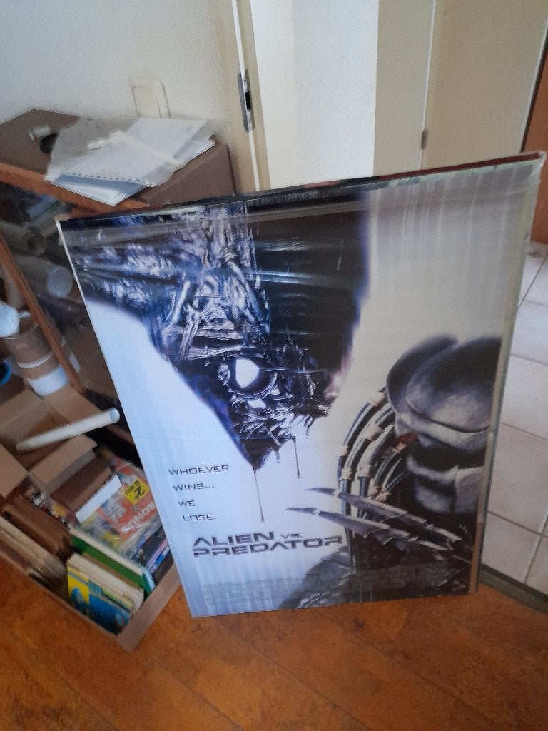 Alien vs Predator Filmposter, Ophalen, Zo goed als nieuw, A1 t/m A3, Film en Tv