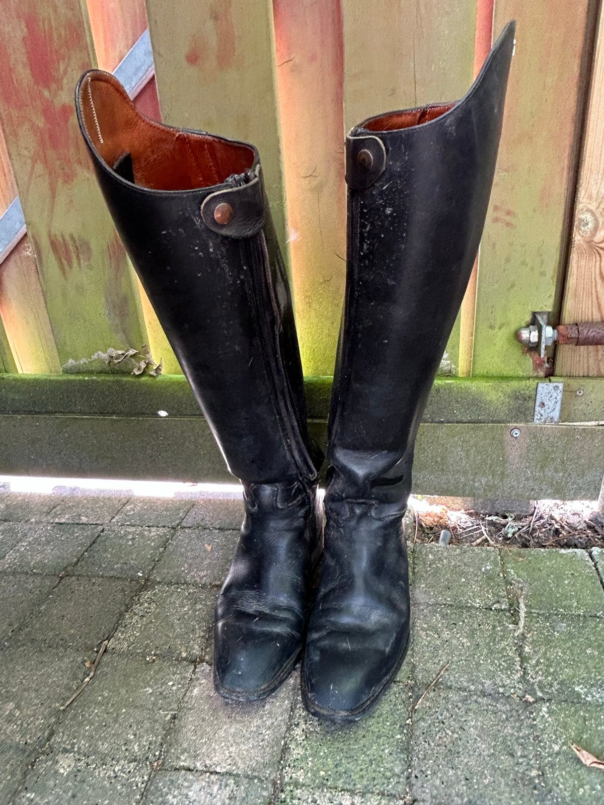 Petrie dressuurlaarzen, Dieren en Toebehoren, Ophalen of Verzenden, Dressuur, Schoeisel