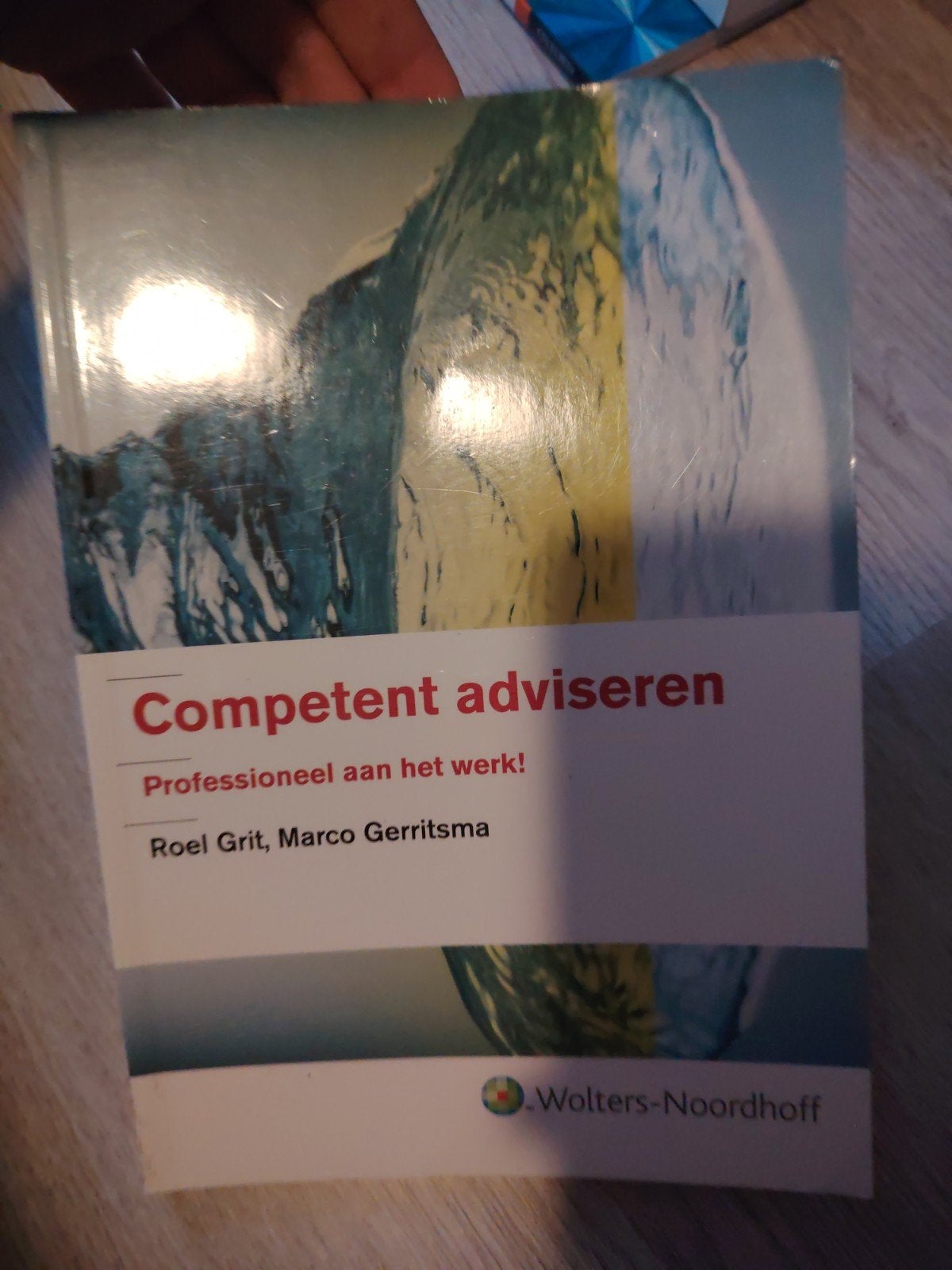 Competent adviseren - Professioneel aan het werk!, Boeken, Ophalen of Verzenden, Gelezen, Roel Grit, Marco Gerritsma