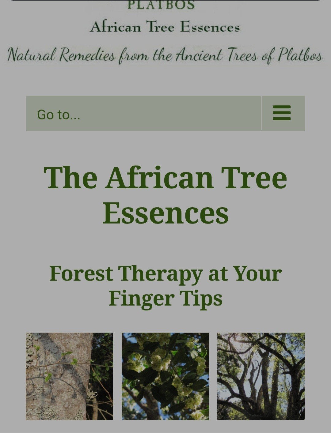 The African Tree Essences, Ophalen of Verzenden, Nieuw, Overige typen