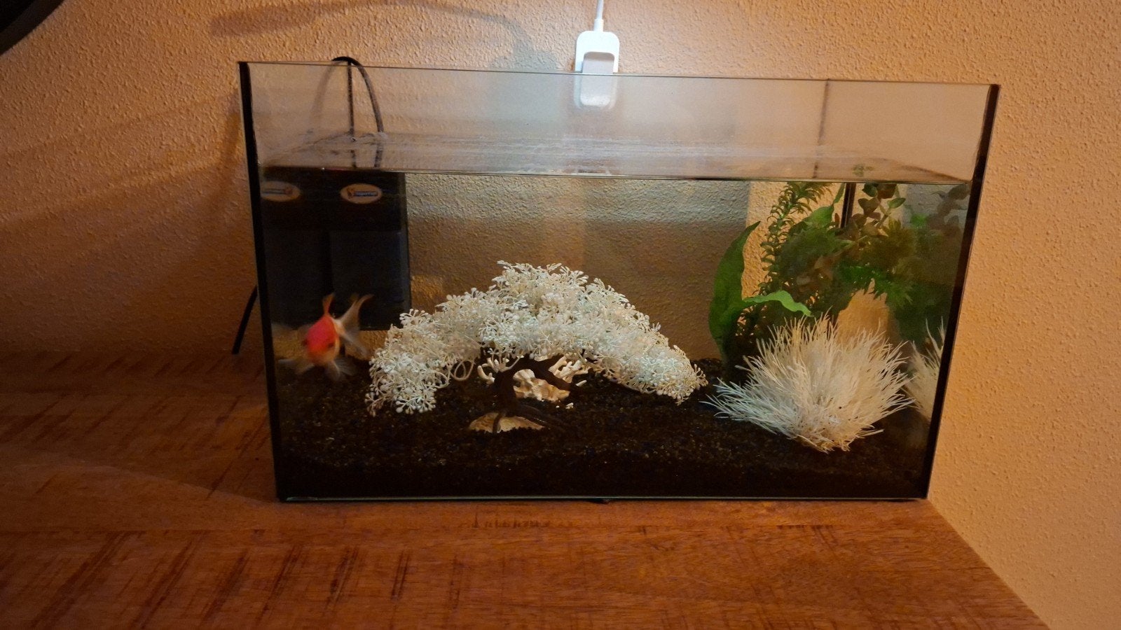 complete vissenkom aquarium, Ophalen, Zo goed als nieuw, Leeg aquarium