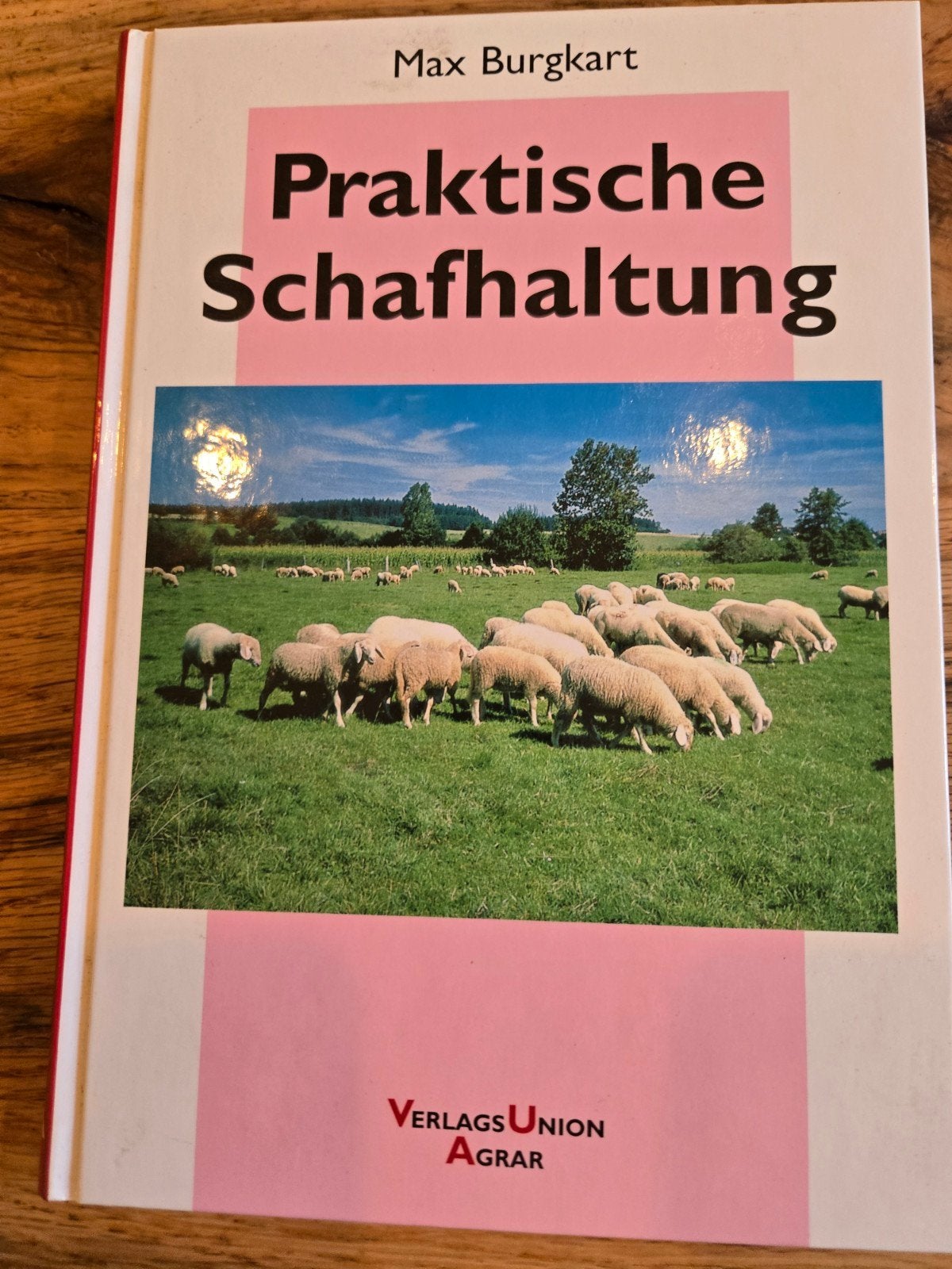 Praktische Schaafhaltung - Handboek voor schapenhouders, Boeken, Ophalen of Verzenden, Zo goed als nieuw, Overige onderwerpen