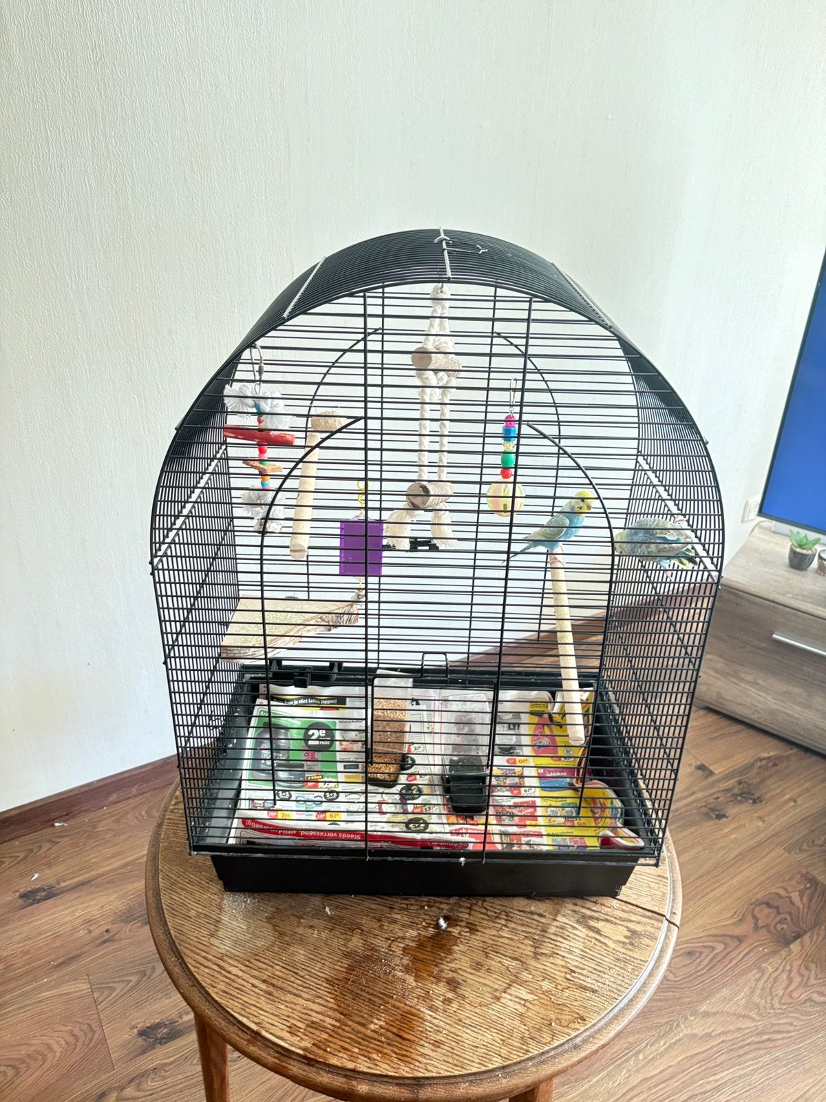 Te koop een parkieten kooi, Ophalen, Gebruikt, Metaal, Vogelkooi