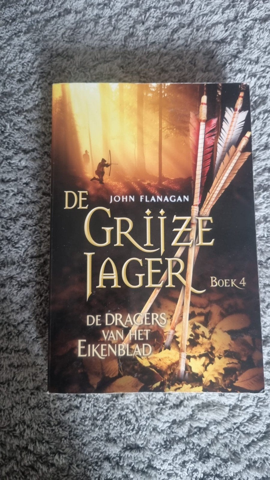 De grijze jager boek 4, Boeken, Ophalen of Verzenden, Zo goed als nieuw