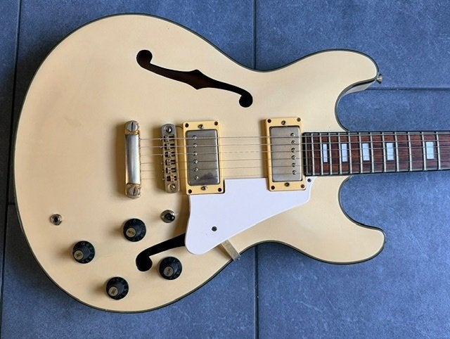 Aria Pro II TA 60, Ophalen of Verzenden, Gebruikt, Solid body, Overige merken