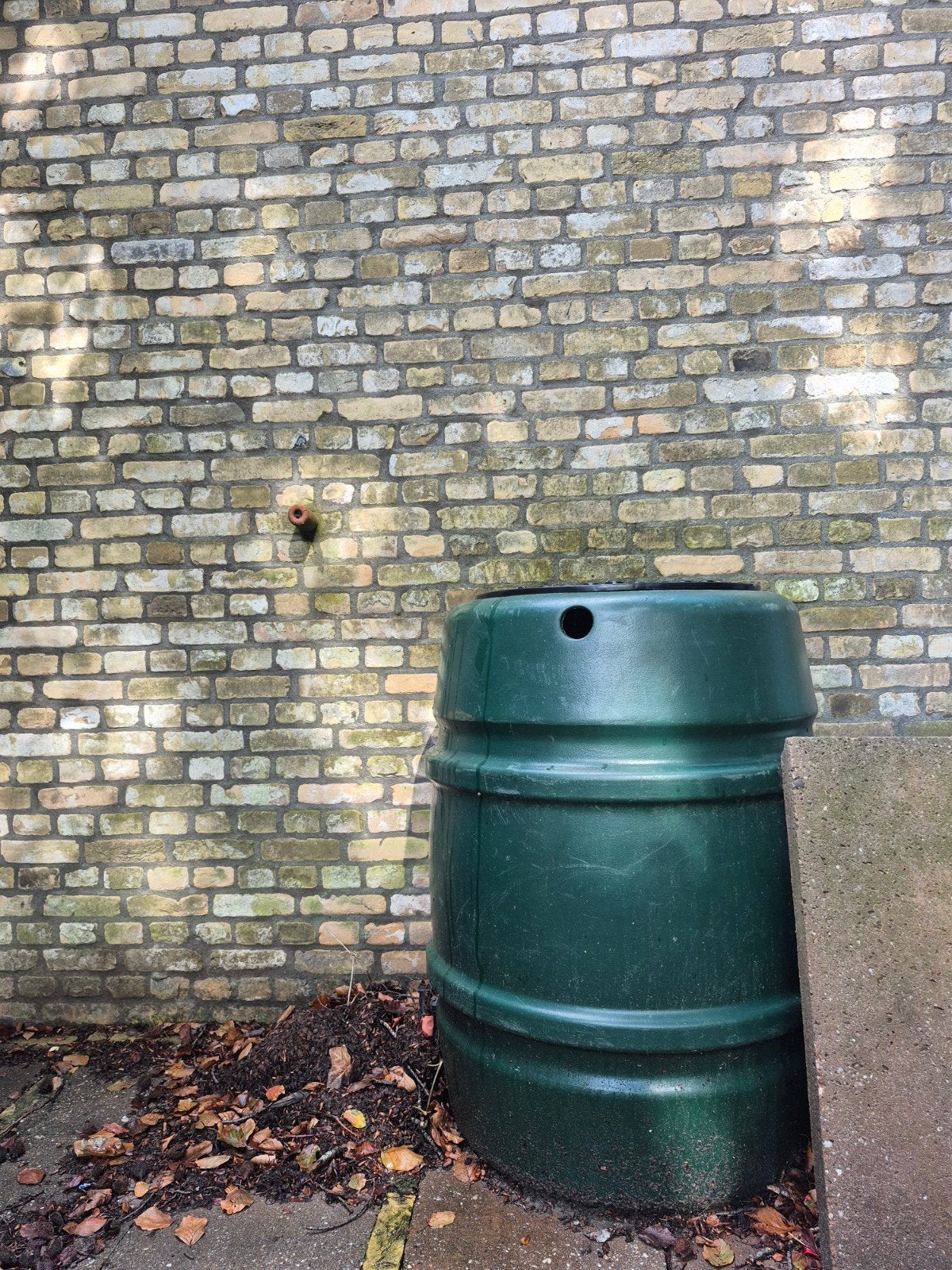 Harcostar Regenton 168L - Groen, 150 liter of meer, Ophalen, Gebruikt, Kunststof