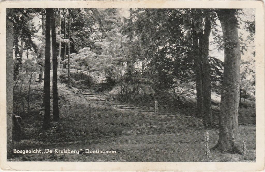 DOETINCHEM Bosgezicht De Kruisberg, Verzenden, 1940 tot 1960, Gelopen, Gelderland