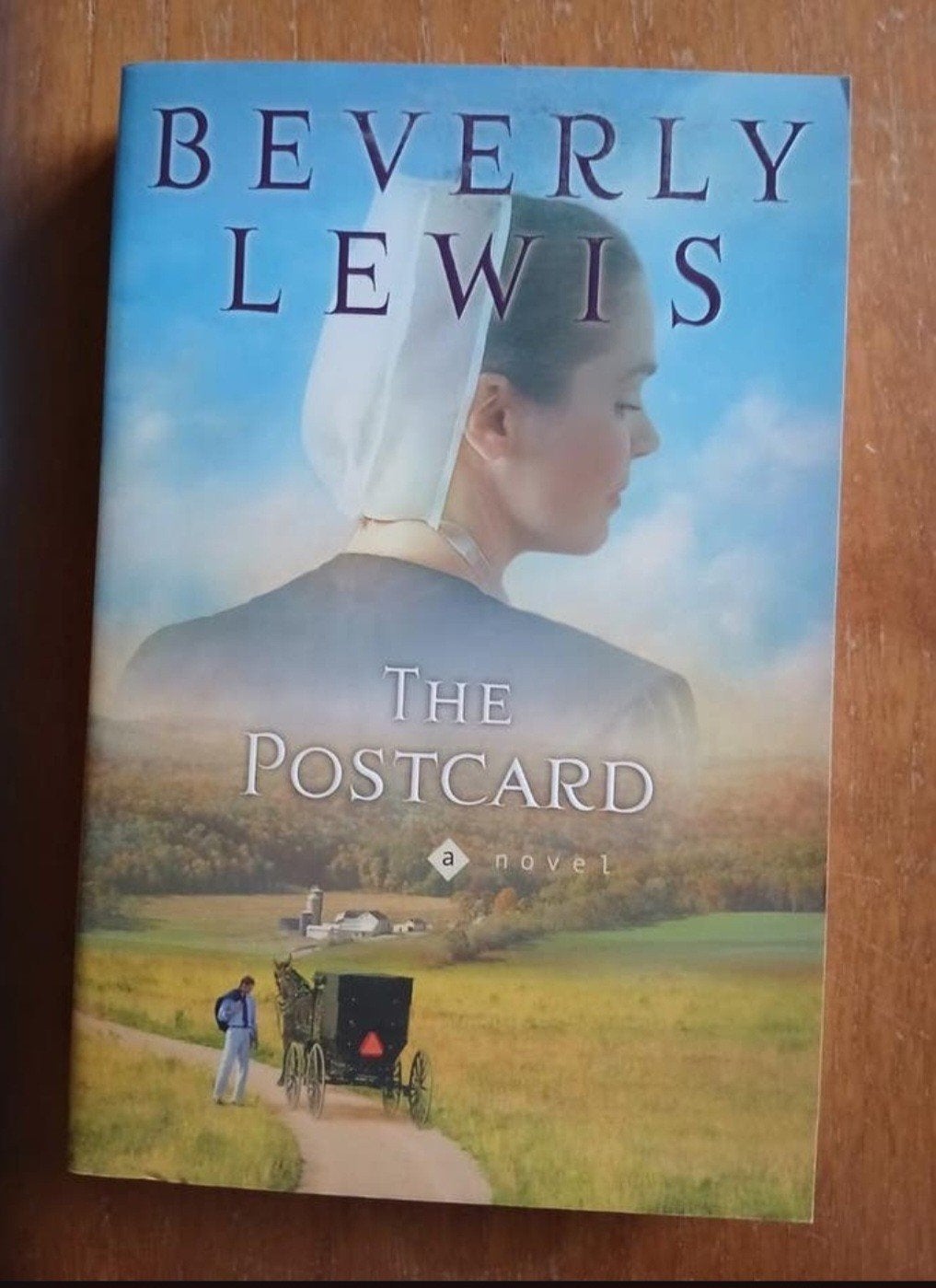 The Postcard - Beverly Lewis (Engels), Boeken, Romans, Zo goed als nieuw, Amerika, Ophalen of Verzenden