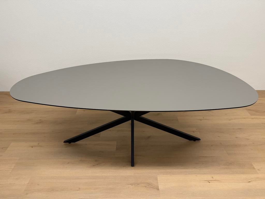 Organische eettafel HPL 220x100 - Direct Leverbaar, 100 tot 150 cm, 200 cm of meer, Ophalen of Verzenden, Zo goed als nieuw