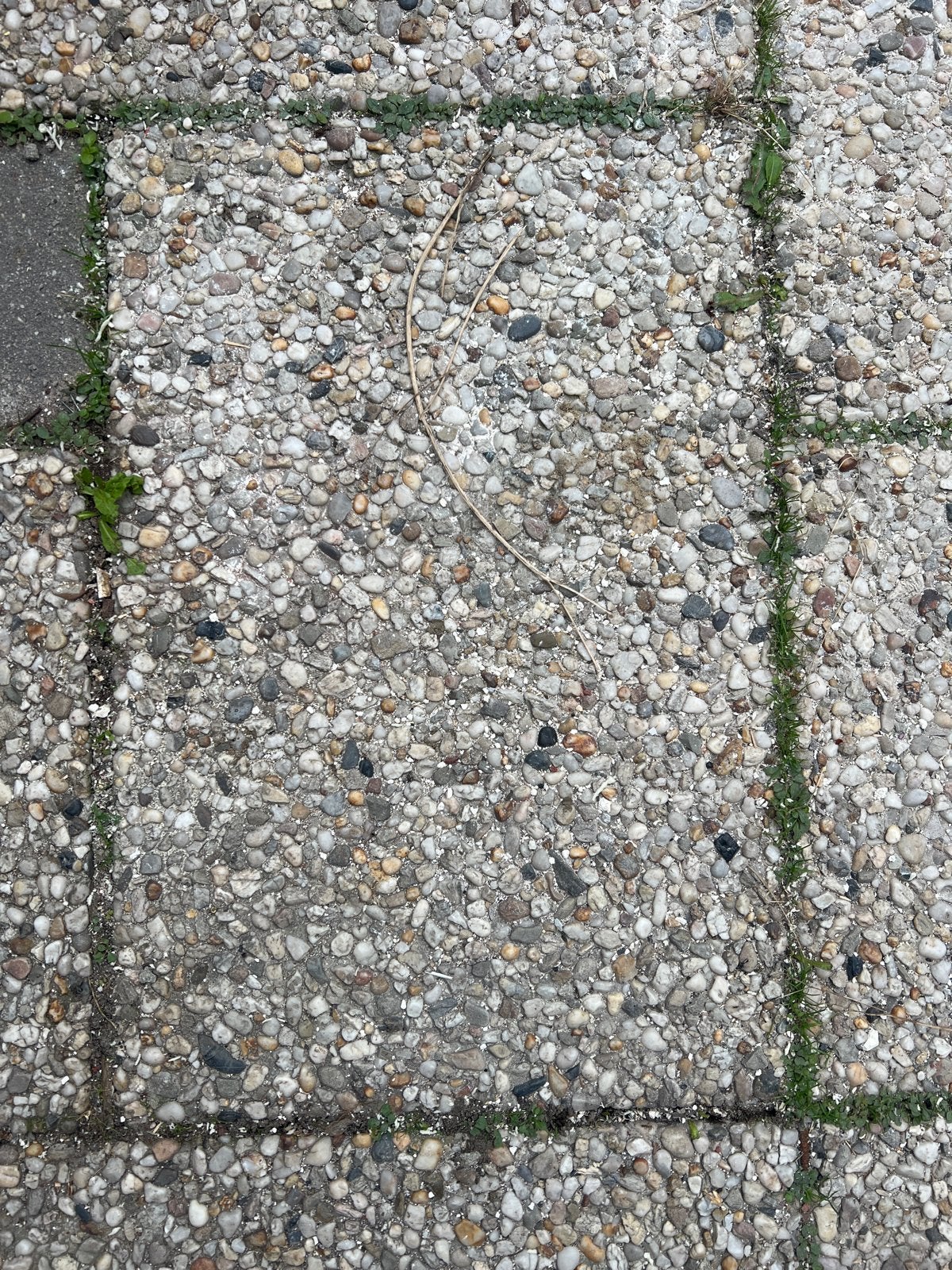 GRATIS OPHALEN - 60x40 terrastegels +- 50m2, Ophalen, Gebruikt, 10 m² of meer, Beton
