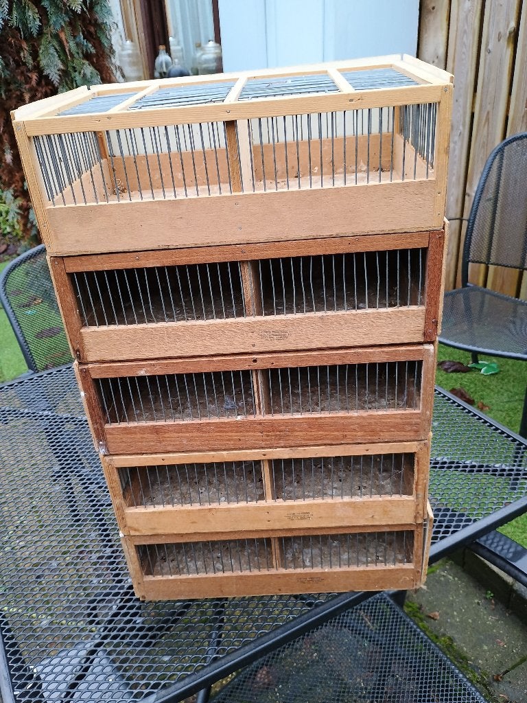 5 vogel transsport kooien.   vaste prijs €40, Ophalen, Zo goed als nieuw, Hout, Vogelkooi