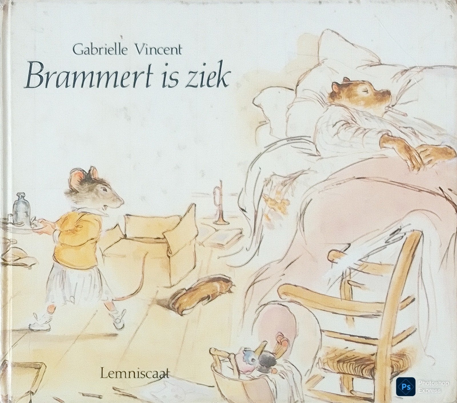 Brammert Is Ziek, Boeken, Gelezen, Fictie algemeen, Jongen of Meisje, Gabrielle Vincent.