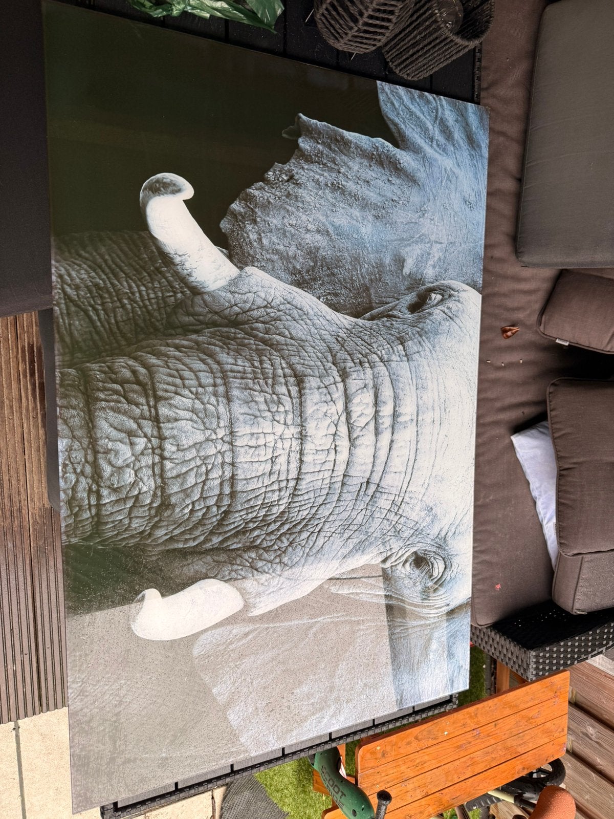 Glasplaat schilderij olifant, Ophalen, Glas, Dieren