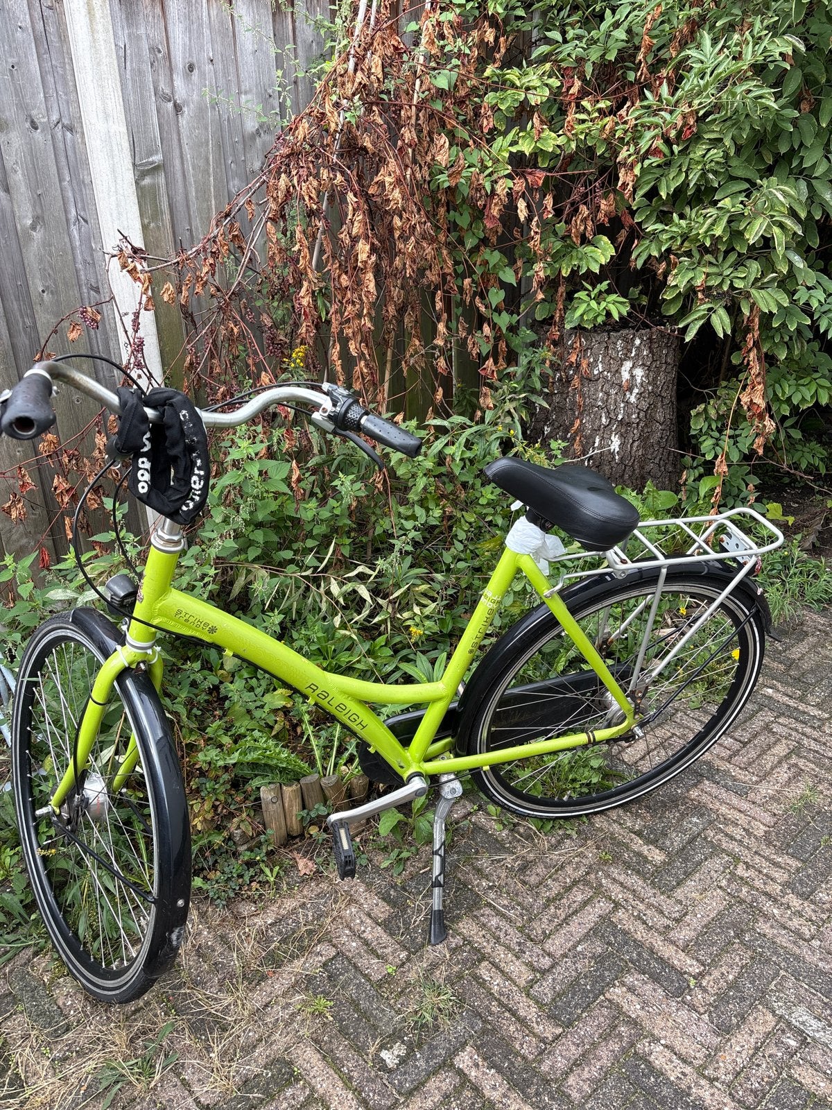 Raleigh damesfiets - Limegroen, Fietsen en Brommers, Fietsen | Dames | Damesfietsen, Overige merken, Terugtraprem, Gebruikt, Versnellingen