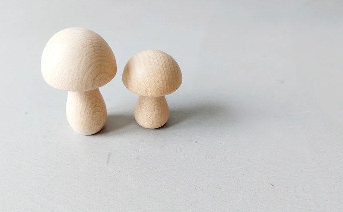 houten paddenstoelen - woondeco of voor knutselen, Educatief, Overige merken, Knutselmateriaal, Beige