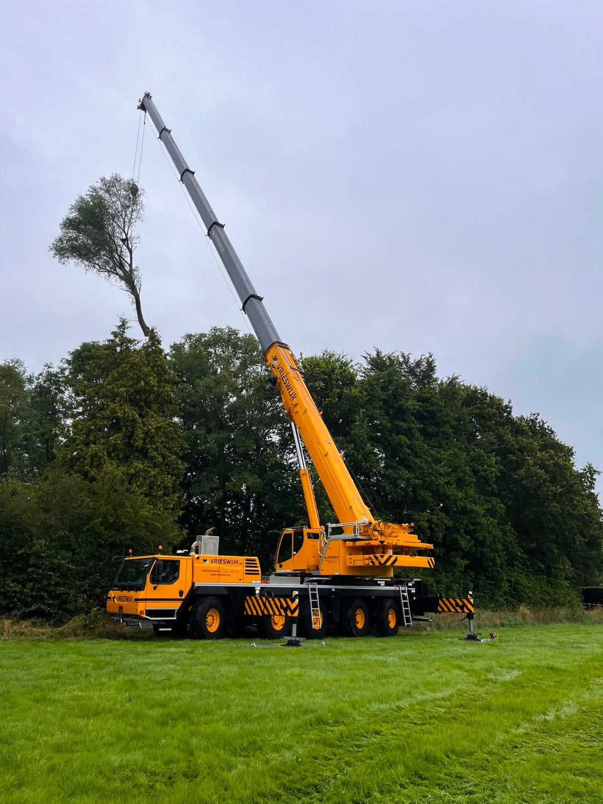 bomen verwijderen/ stormschade / gratis offerte, Garantie, Tuinonderhoud of Snoeiwerk