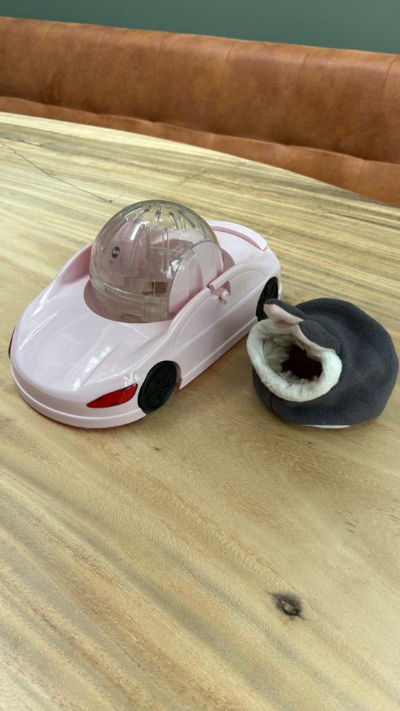 Hamster loop(auto)bal en slaapholletje, Ophalen of Verzenden, Zo goed als nieuw