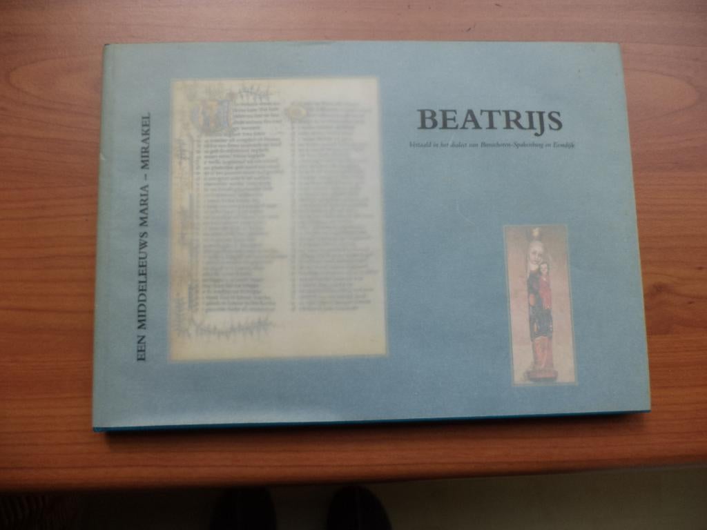 BEATRIJS, in dialect van Bunschoten-Spakenburg en Eemdijk, Boeken, Ophalen of Verzenden, Gelezen