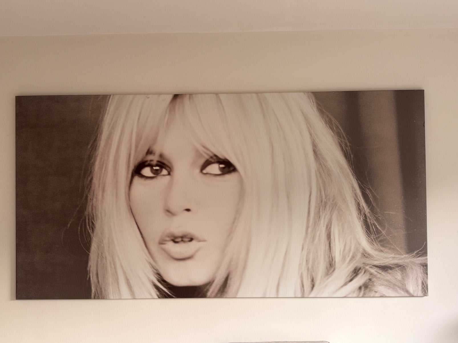 Canvas Brigitte Bardot (200x100), Ophalen, Oorspronkelijke maker, 125 cm of meer, Zo goed als nieuw