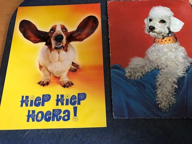 Honden, Ophalen of Verzenden, Voor 1920, Ongelopen, Hond of Kat