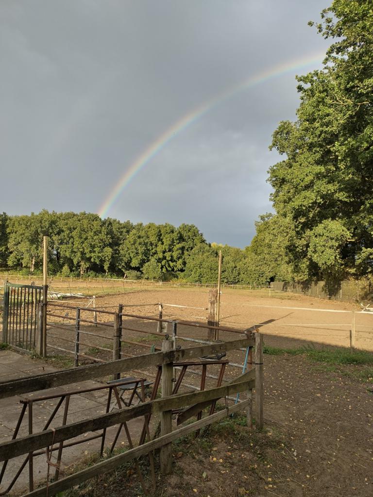 Paarden stallen op een mooie locatie in Nieuwkuijk, Stalling