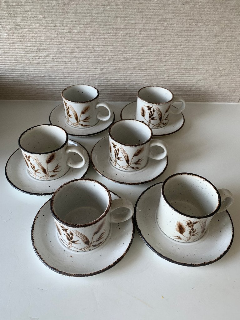 6 kop en schotels Wedgwood Midwinter Wild Oats, Ophalen of Verzenden, Zo goed als nieuw, Kop(pen) en/of Schotel(s), Wedgwood