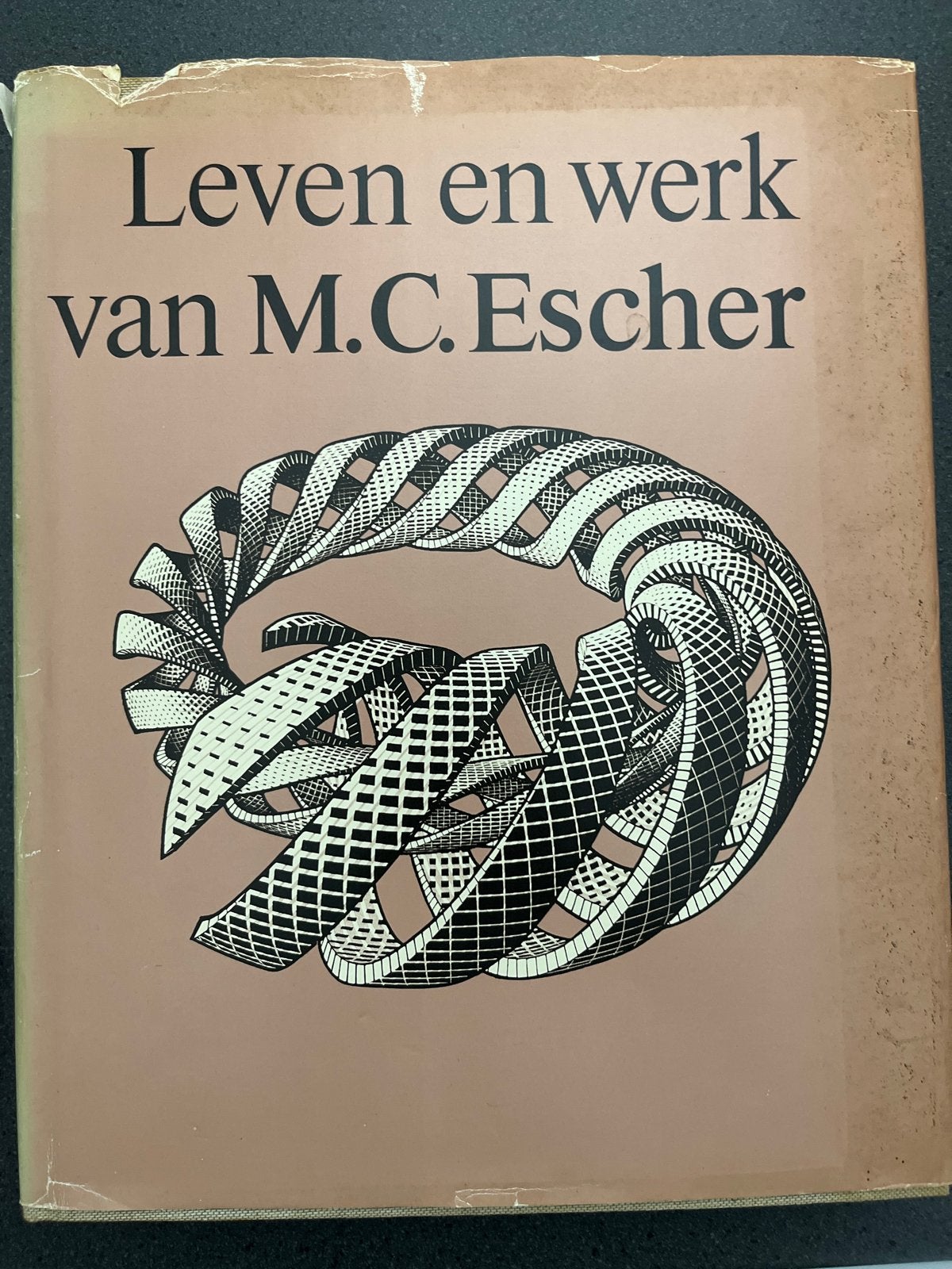 Leven en werk van M.C. Escher - Kunstboek, Ophalen of Verzenden, Gelezen, Overige onderwerpen
