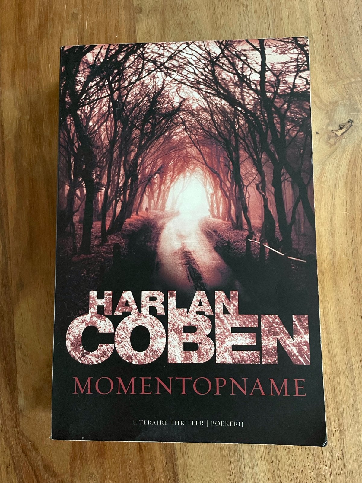 Harlan Coben - Momentopname: Meeslepende Thriller, Ophalen of Verzenden, Zo goed als nieuw