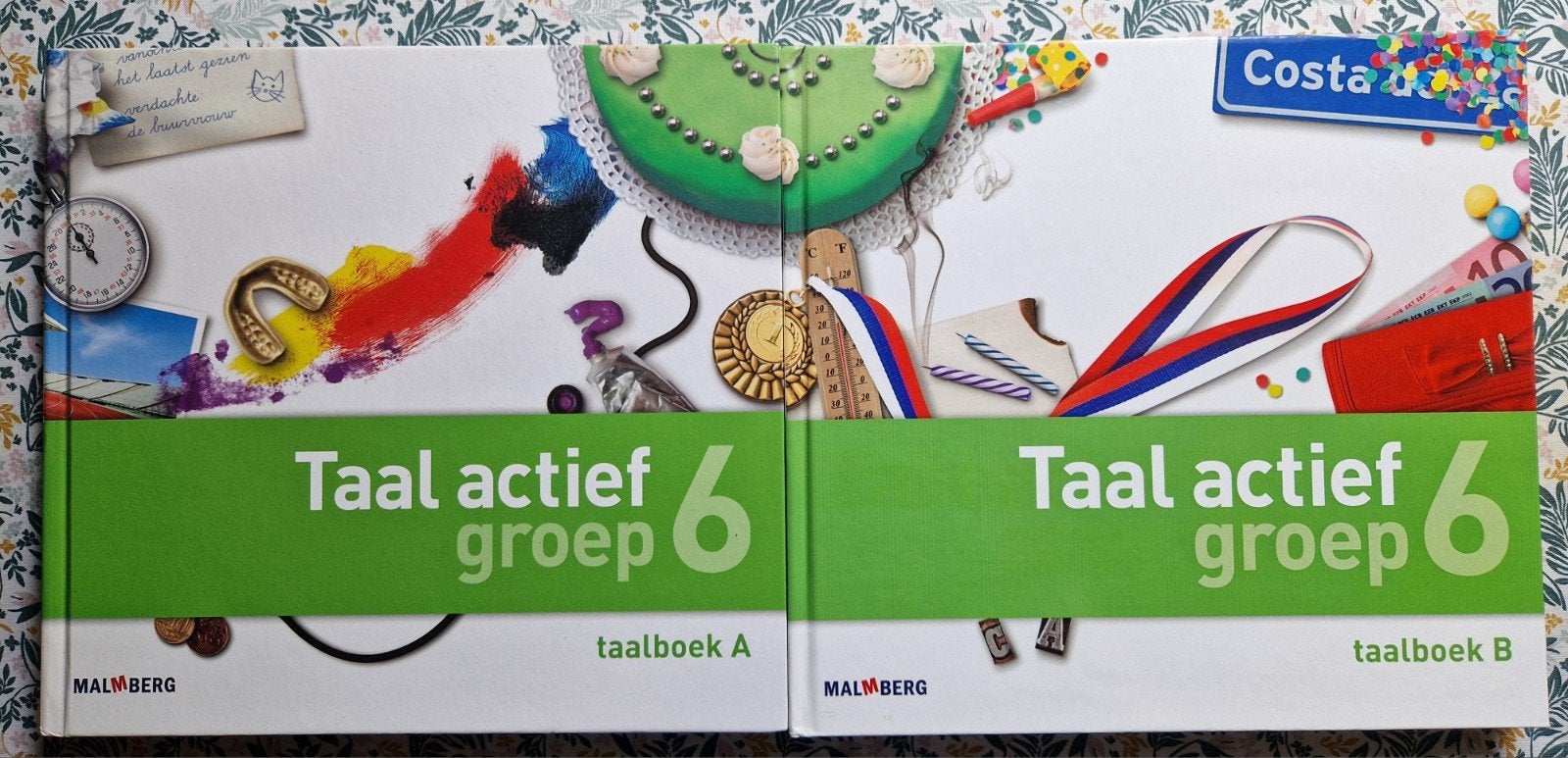 Taal actief groep 6 taalboek A en B Malmberg, Boeken, Malmberg, Ophalen of Verzenden, Zo goed als nieuw, Nederlands