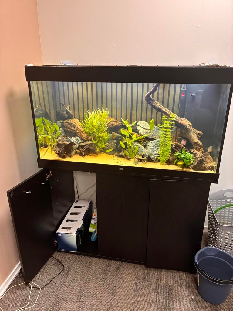 Juwel rio 350 compleet, Dieren en Toebehoren, Vissen | Aquaria en Toebehoren, Ophalen, Zo goed als nieuw, Gevuld zoetwateraquarium